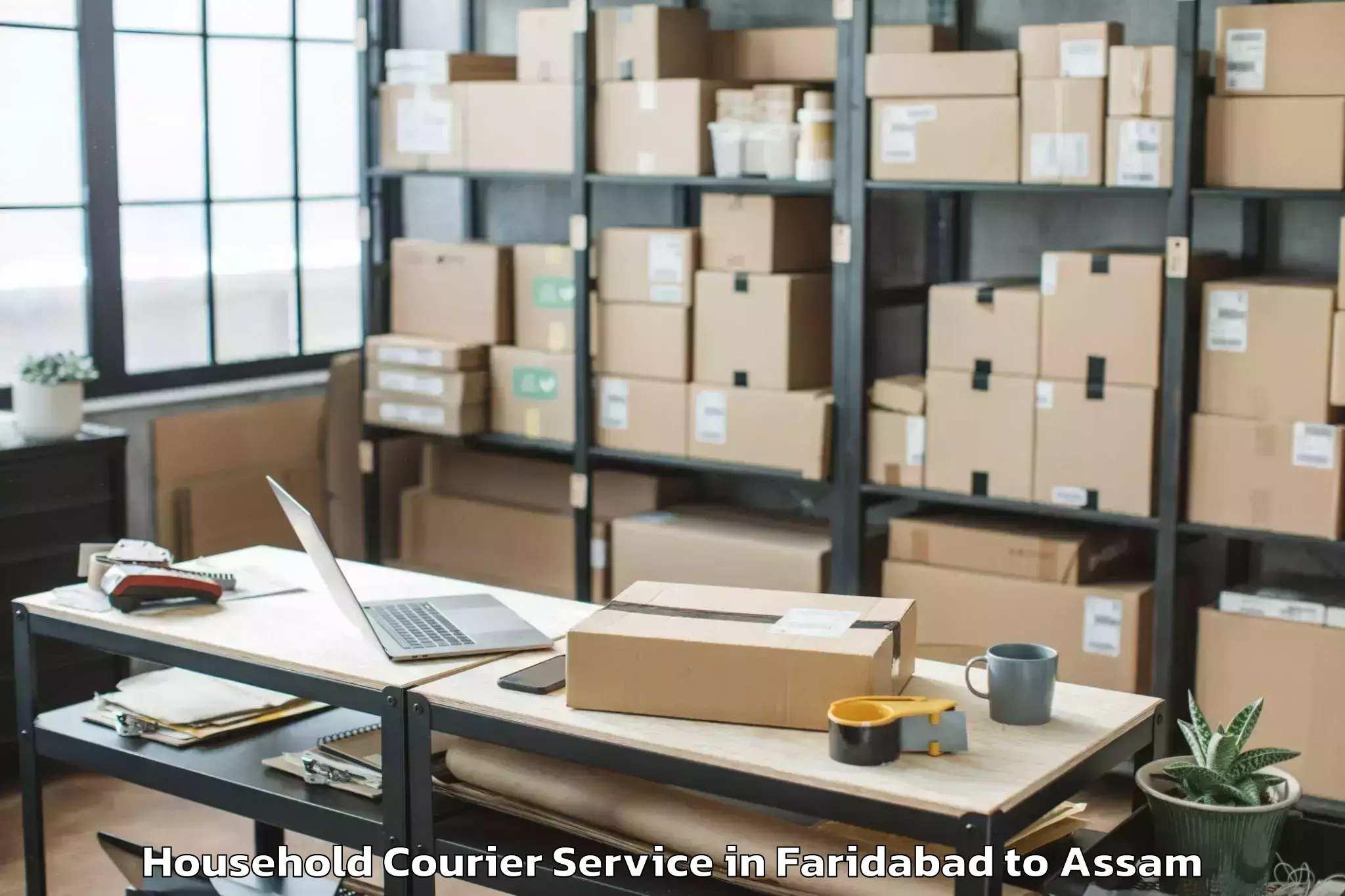 Easy Faridabad to Mayong Household Courier Booking